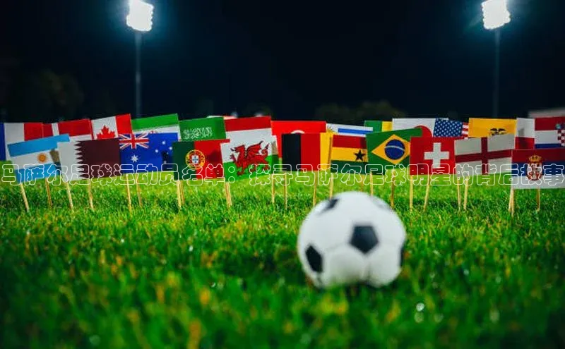 333体育网页登录百度百聘马萨尔足球运动员名单：探寻马萨尔足球明星的背后故事