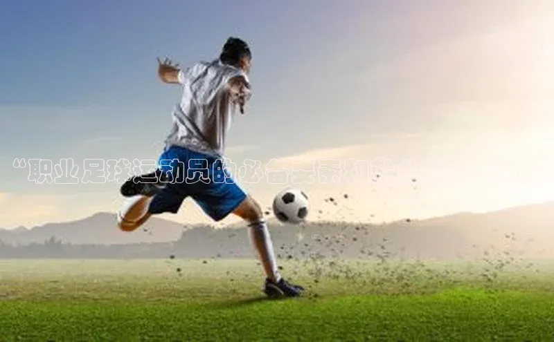 333体育平台app台登录金山办公“职业足球运动员的必备要素和就业前景解析”
