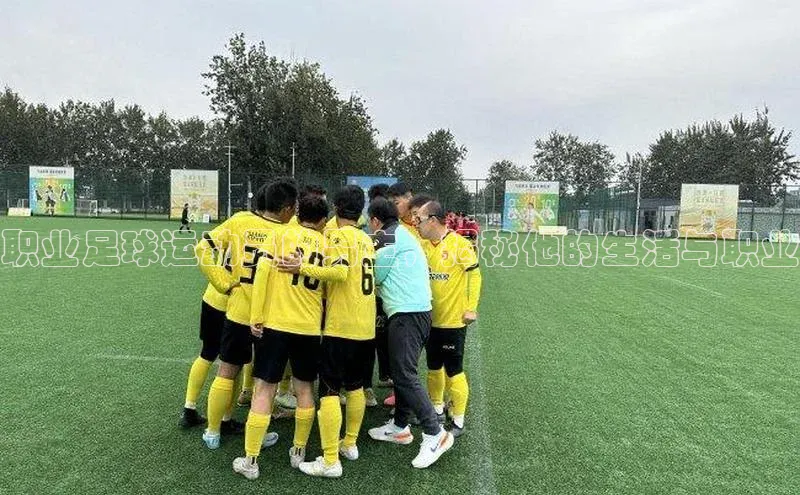 333体育网页登录福石控股职业足球运动员的男主，揭秘他的生活与职业