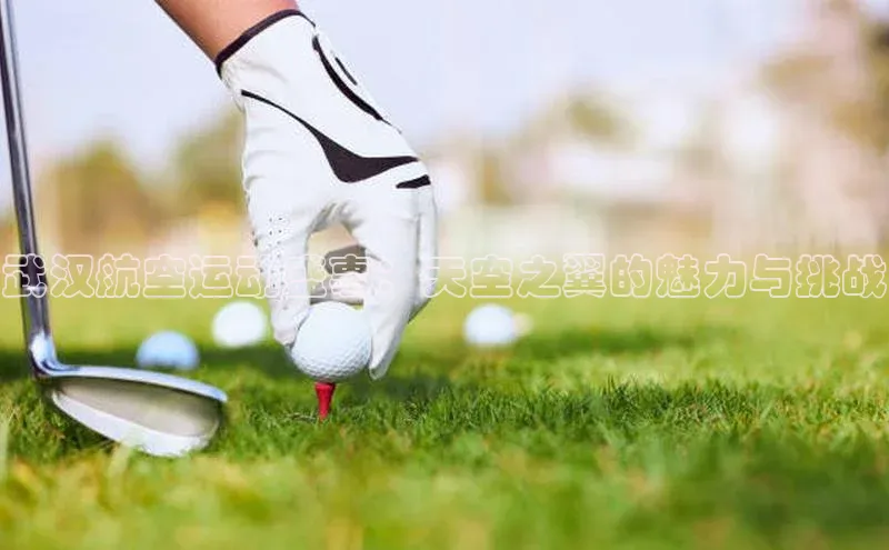 333体育百度数据开放平台武汉航空运动盛事：天空之翼的魅力与挑战