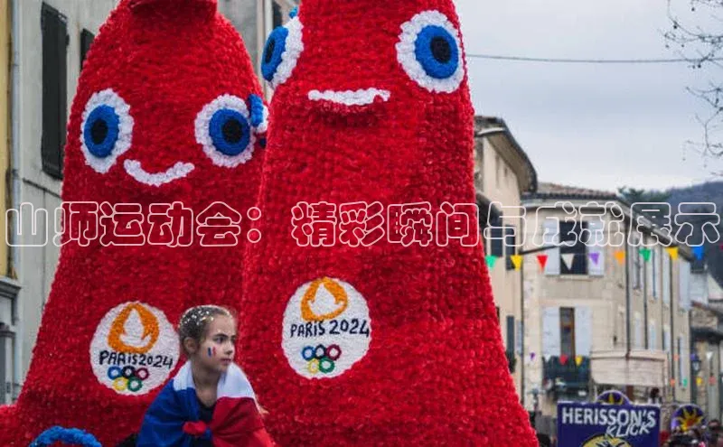 333体育平台网页版壹网壹创山师运动会：精彩瞬间与成就展示