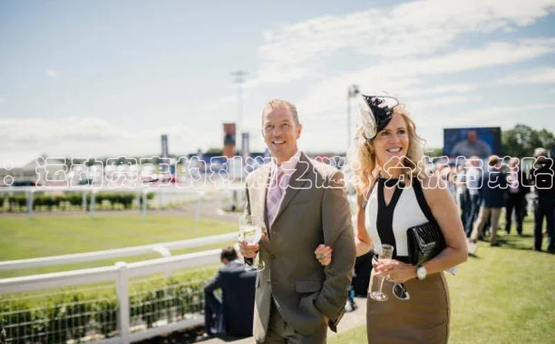 333体育赛事直播度小满理财：运动赛事的利润之谜：分析与策略