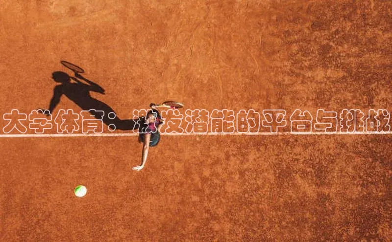 333体育app官方下载百度学术大学体育：激发潜能的平台与挑战