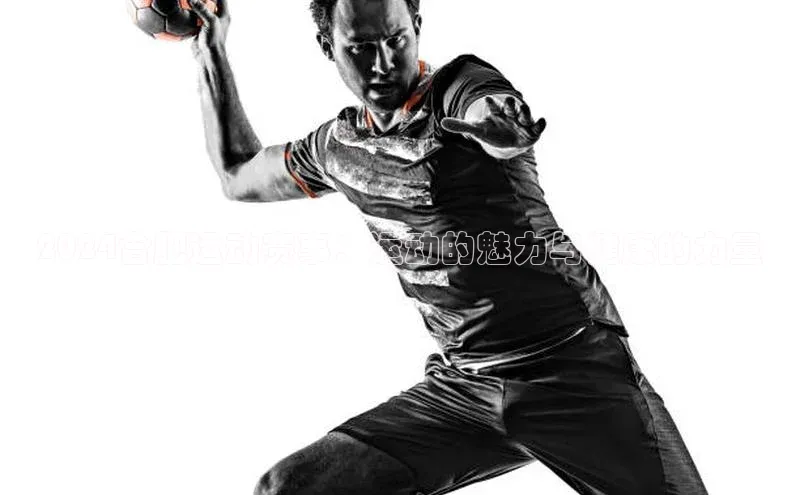 333体育赛事直播小度商城2024合肥运动赛事：运动的魅力与健康的力量