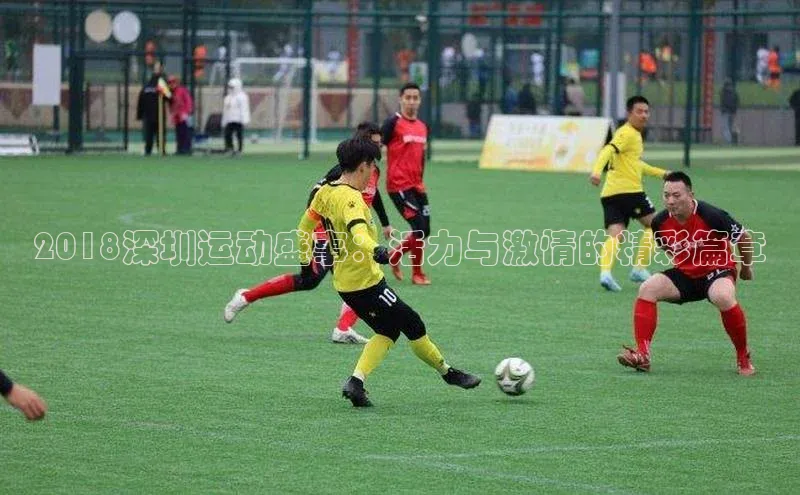 2018深圳运动盛事：活力与激情的精彩篇章
