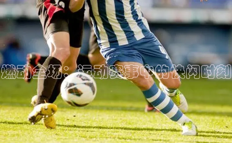 燃动全场：运动赛事中的快闪时刻