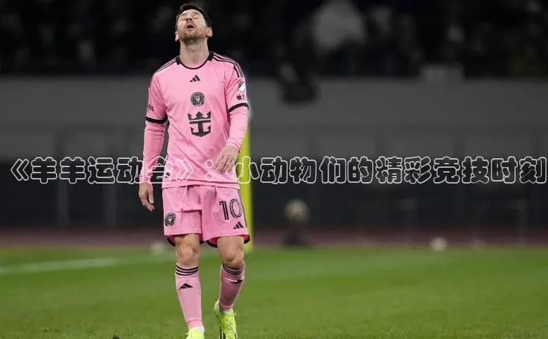 《羊羊运动会》：小动物们的精彩竞技时刻