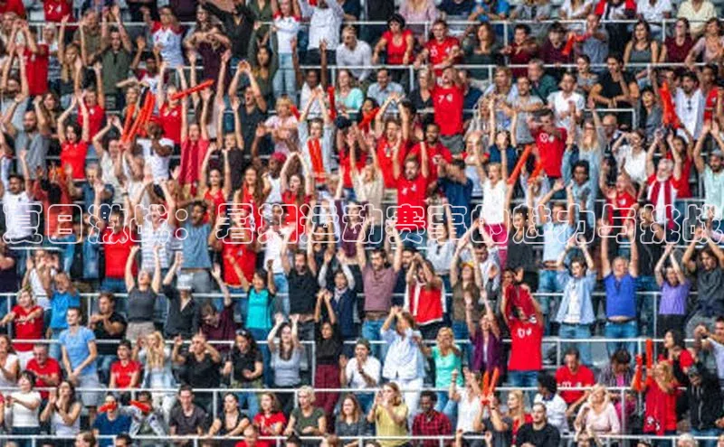 夏日激战：暑期运动赛事的魅力与挑战