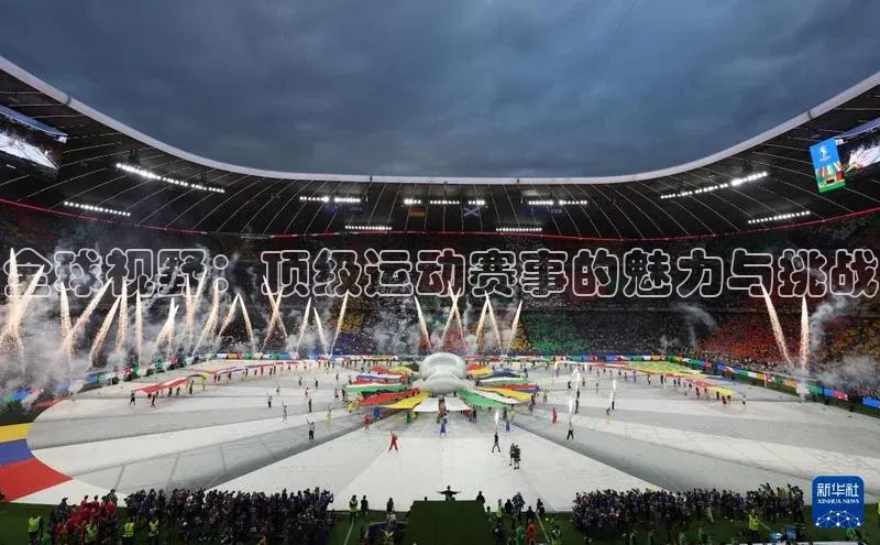 全球视野：顶级运动赛事的魅力与挑战