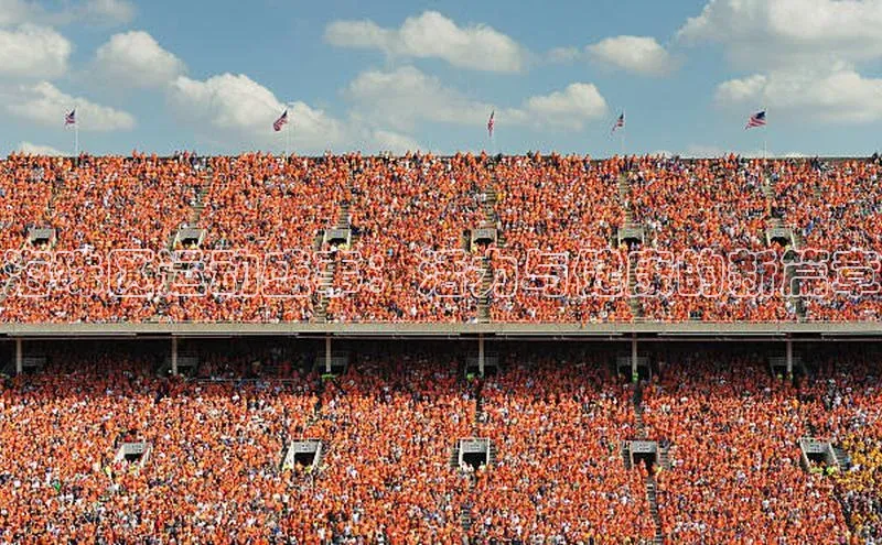 3377体育官方网站