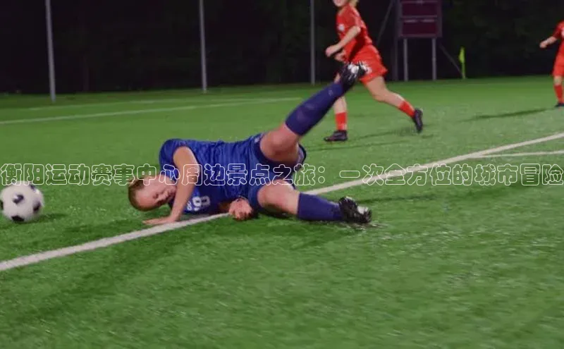 333体育手机版入口