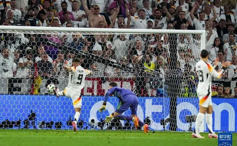 333体育官网入口