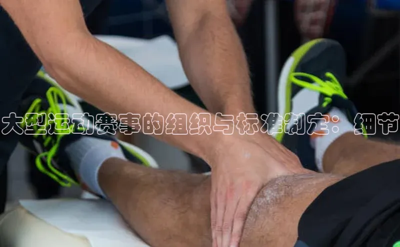 大型运动赛事的组织与标准制定：细节