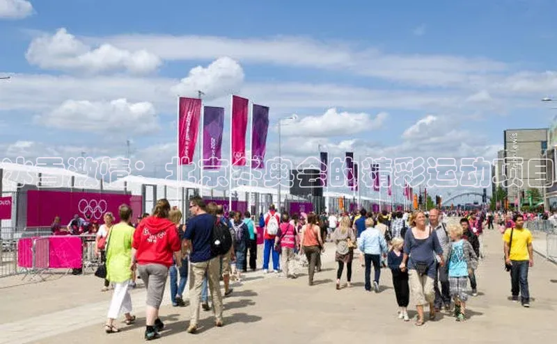 冰雪激情：北京冬奥会的精彩运动项目