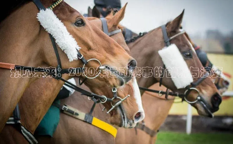 预见未来：2030年运动赛事的创新与演变