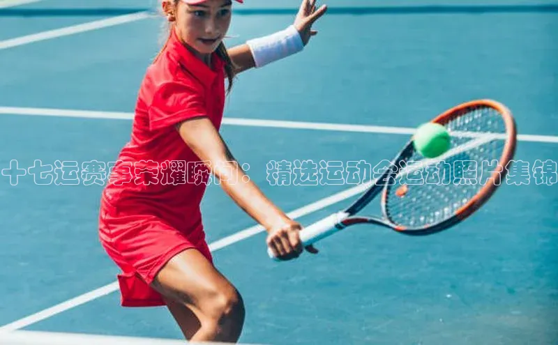 十七运赛事荣耀瞬间：精选运动会运动照片集锦