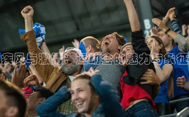 疾风与激情：运动会的魅力与象征