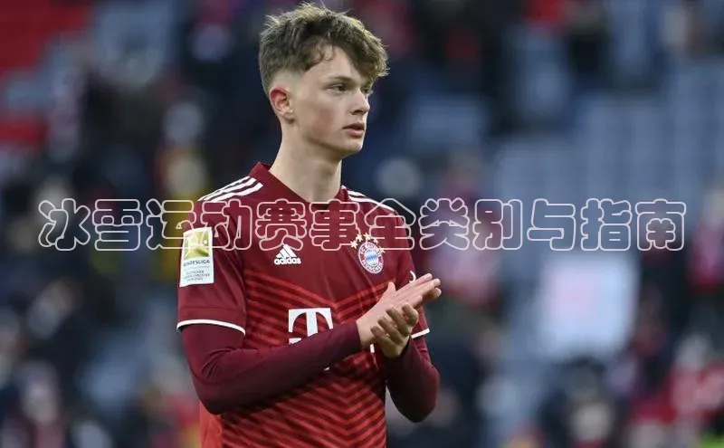 冰雪运动赛事全类别与指南