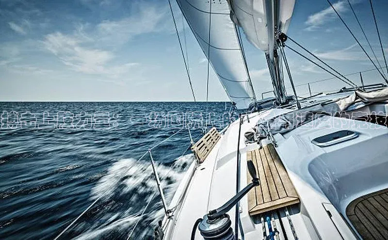 搏击上肢力量：一场国际上的力量与速度的竞技