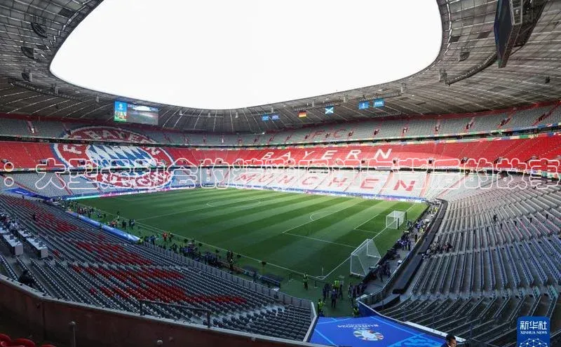 ：大型运动会的精彩瞬间与背后的故事