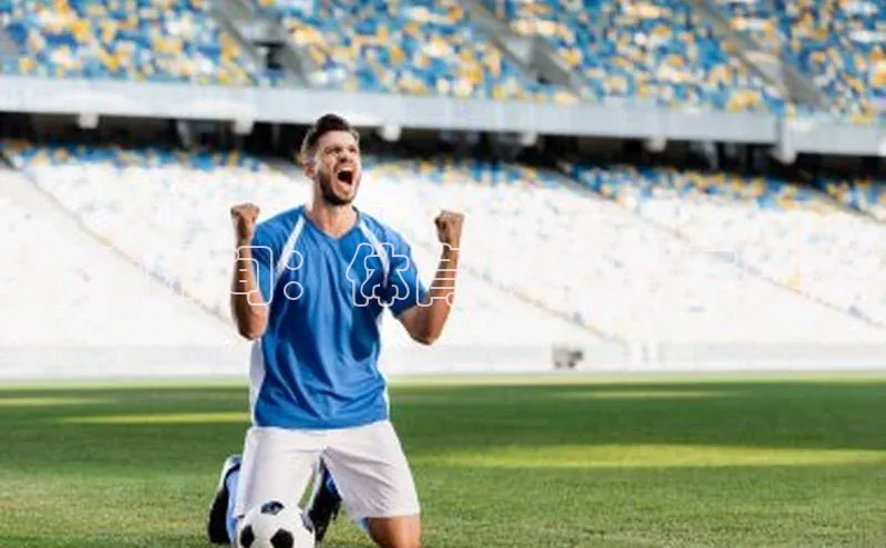 动感瞬间：体育的激情与荣耀