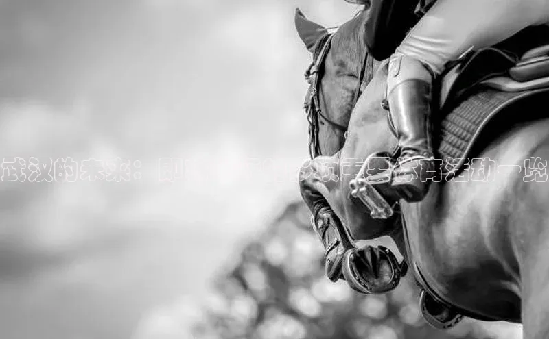 武汉的未来：即将举行的多项重要体育活动一览