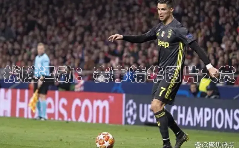 揽胜运动：赛事精华图片大赏