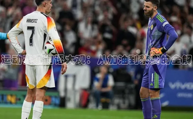 运动赛事词语大观：从加油到禁赛的全解