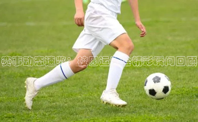 333体育赛事直播