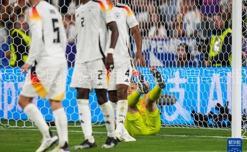 333体育网页登录