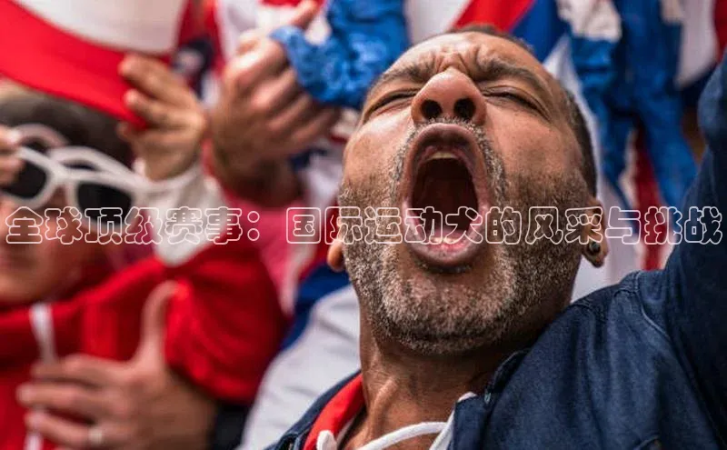 333体育平台网页下载