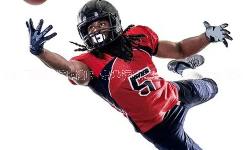 333体育平台app台登录