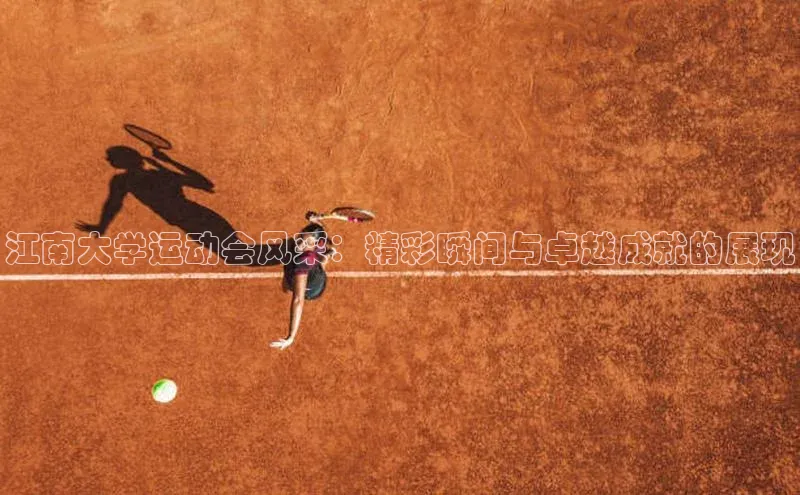 江南大学运动会风采：精彩瞬间与卓越成就的展现