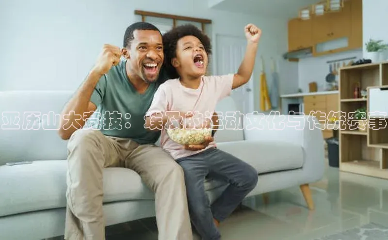 亚历山大竞技：埃及的运动文化与传统赛事